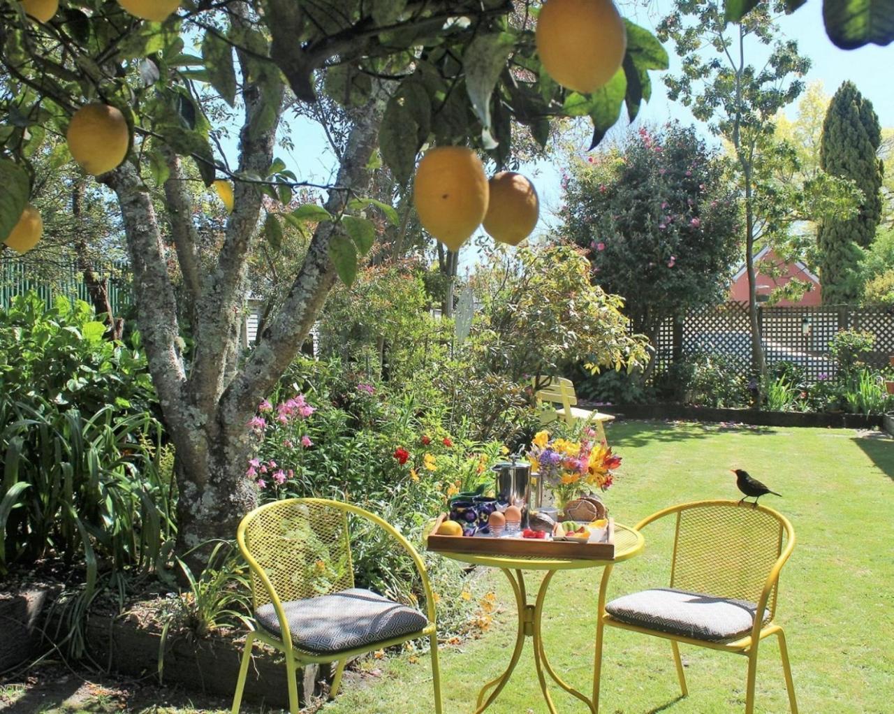Annick House Bed And Breakfast Nelson Bagian luar foto